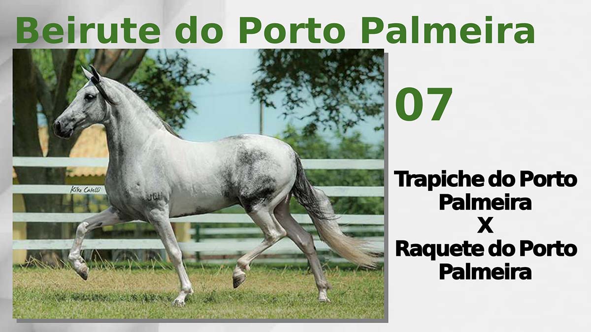 Beirute do Porto Palmeira