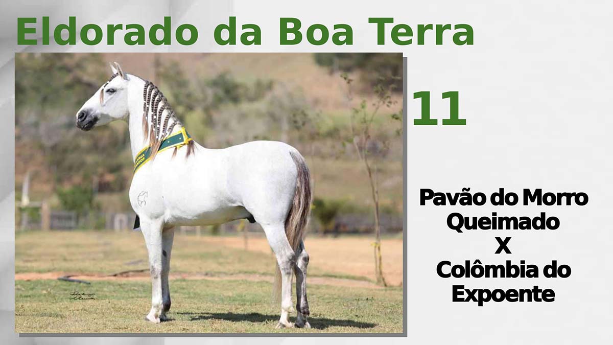 Eldorado da Boa Terra