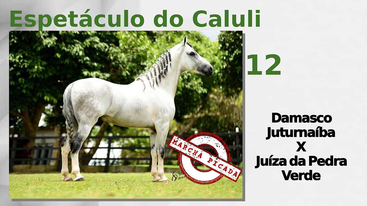Espetáculo do Caluli