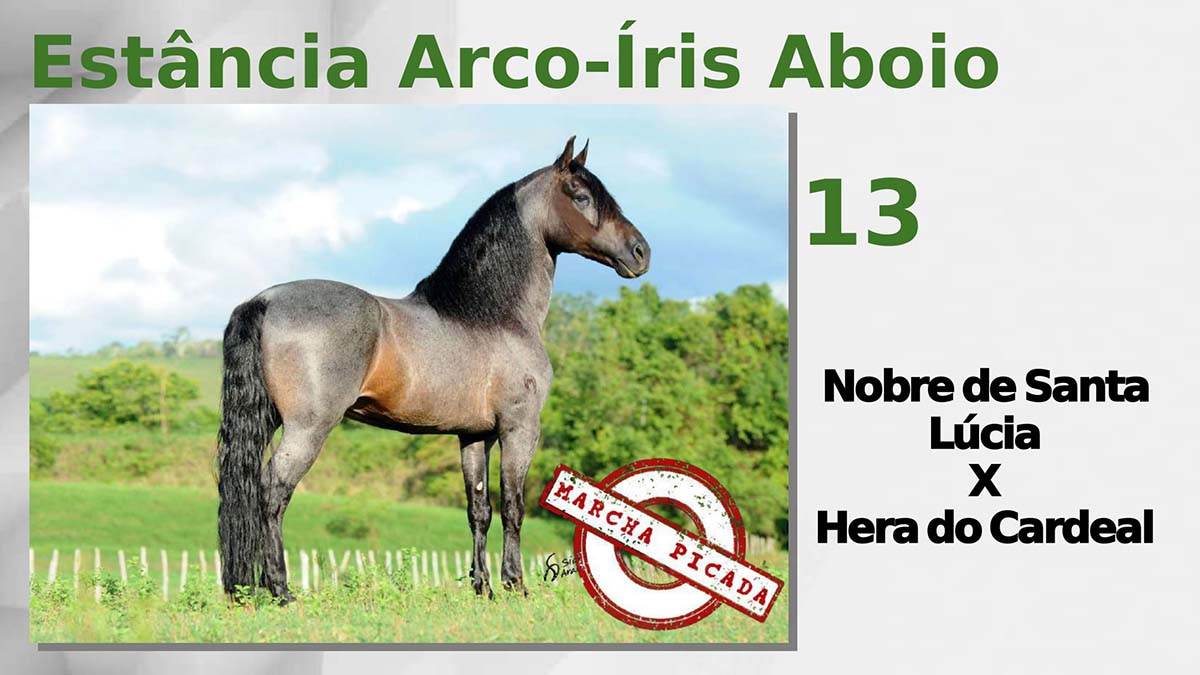 Estância Arco-Íris Aboio