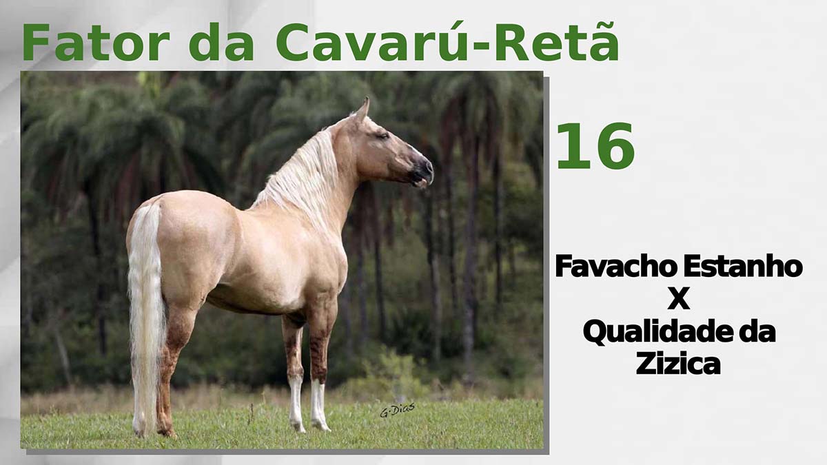 Fator da Cavarú-Retã