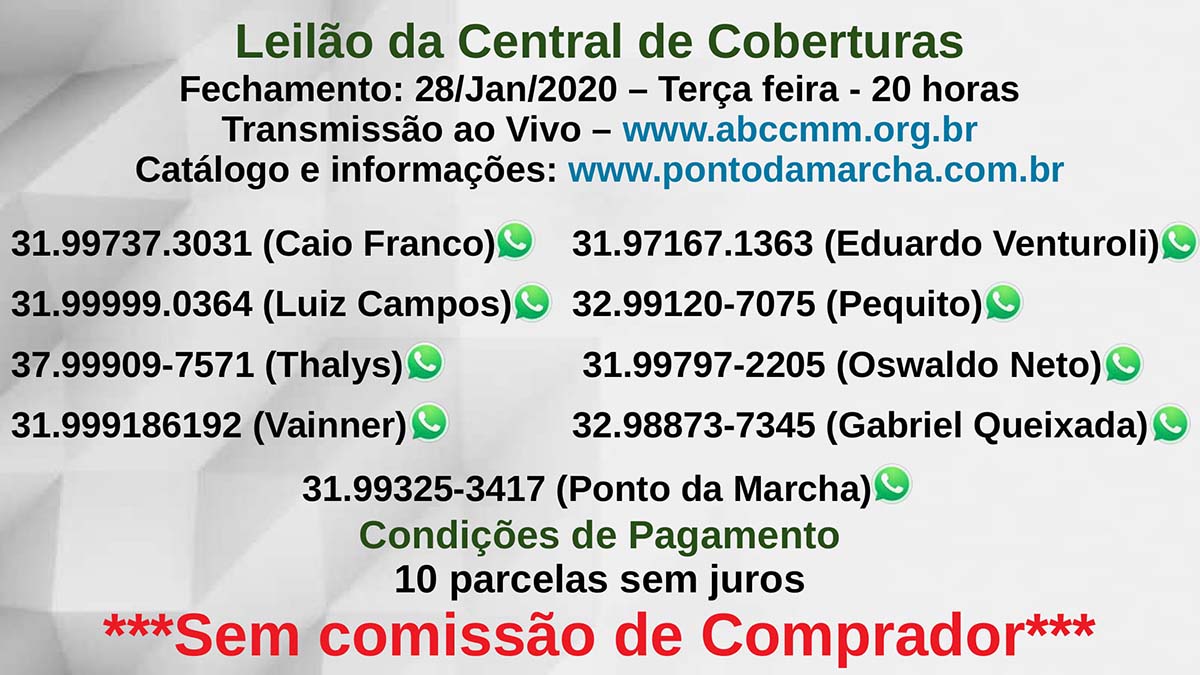 Coberturas Mangalarga Marchador - Coberturas Mangalarga Marchador