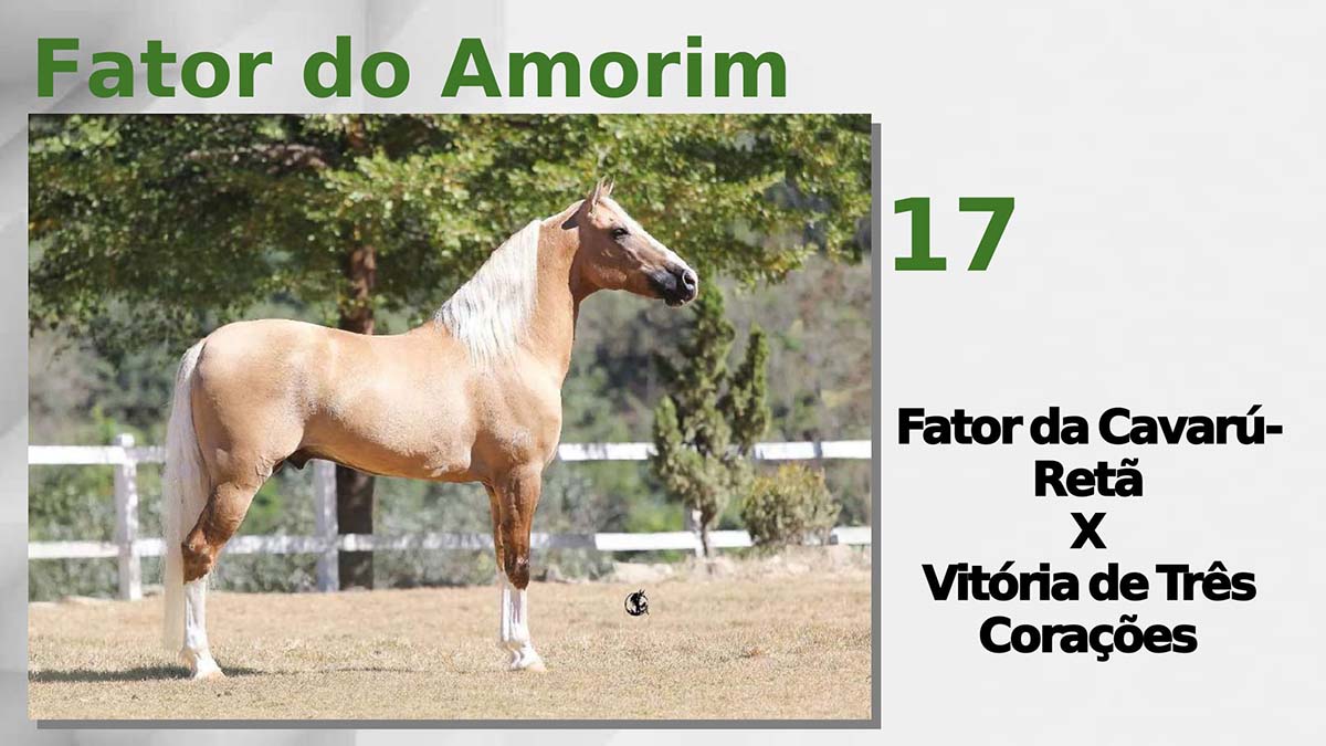 Fator do Amorim