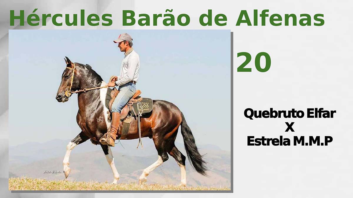 Hércules Barão de Alfenas