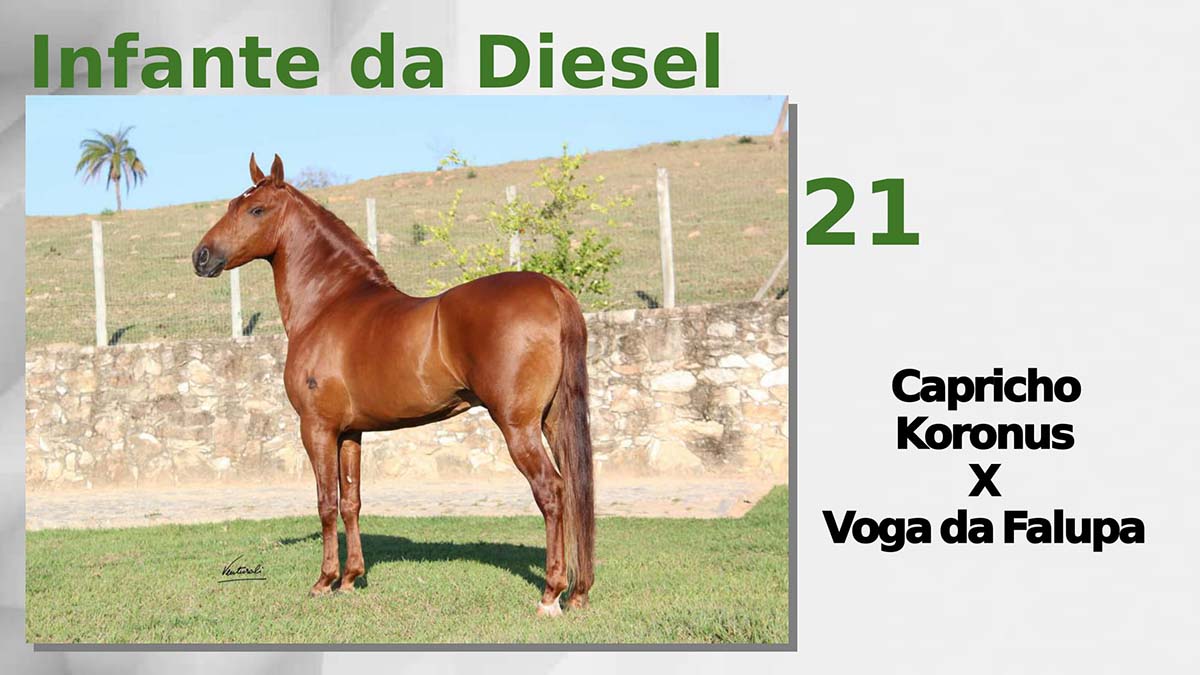Infante da Diesel