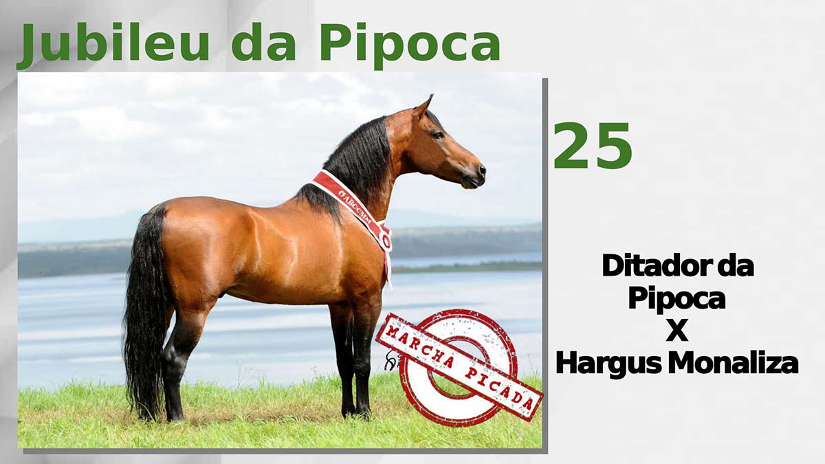 Jubileu da Pipoca