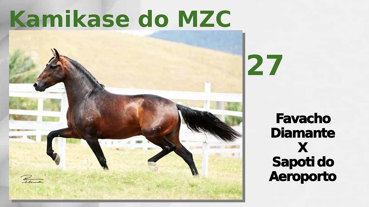 Kamikase do MZC