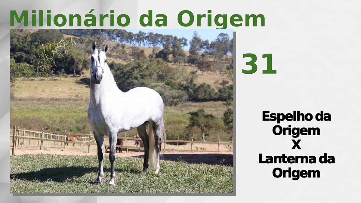 Milionário da Origem