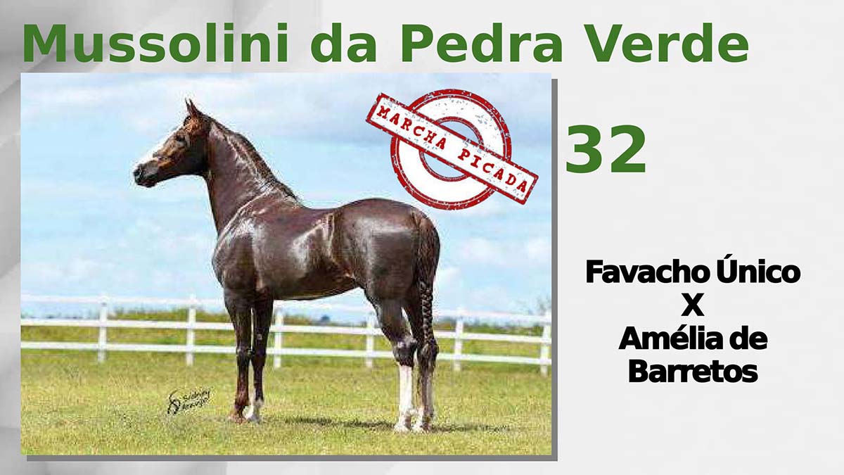 Mussolini da Pedra Verde