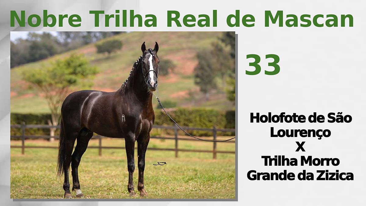 Nobre Trilha Real de Mascan