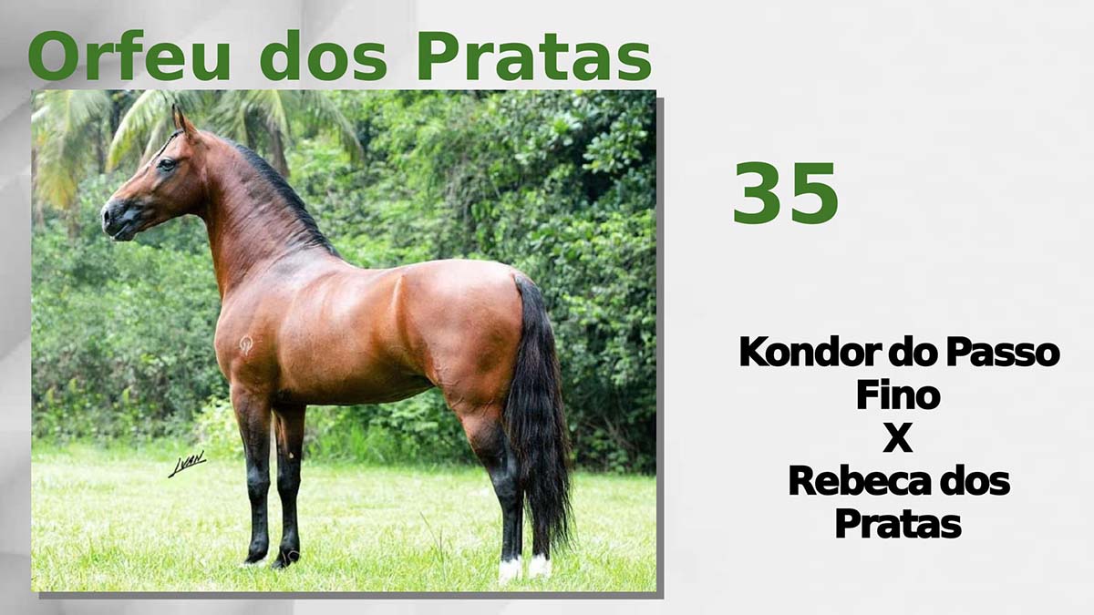 Orfeu dos Pratas