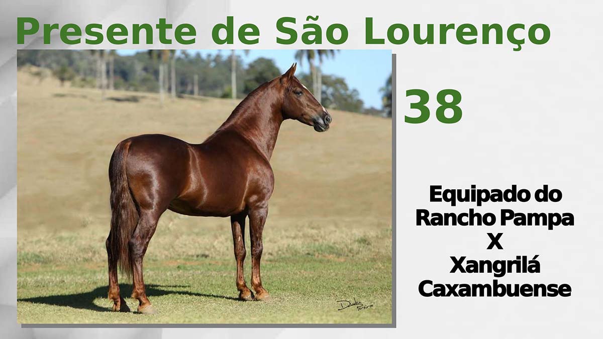 Presente de São Lourenço