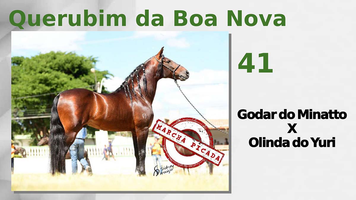 Querubim da Boa Nova