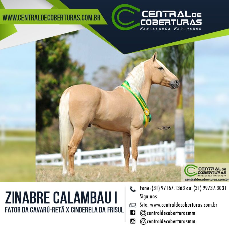 ZINABRE CALAMBAU I ZINABRE CALAMBAU I