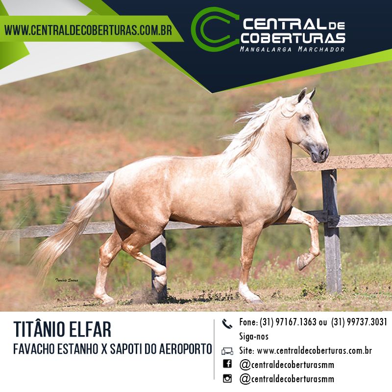 TITÂNIO ELFAR TITÂNIO ELFAR