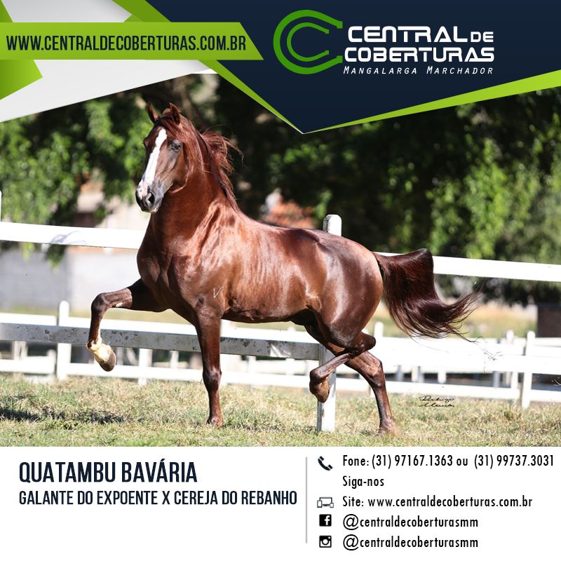 QUATAMBU BAVÁRIA QUATAMBU BAVÁRIA