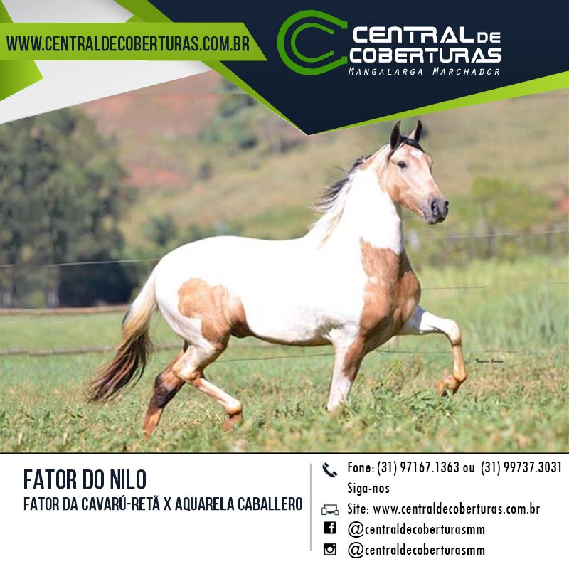 FATOR DO NILO FATOR DO NILO