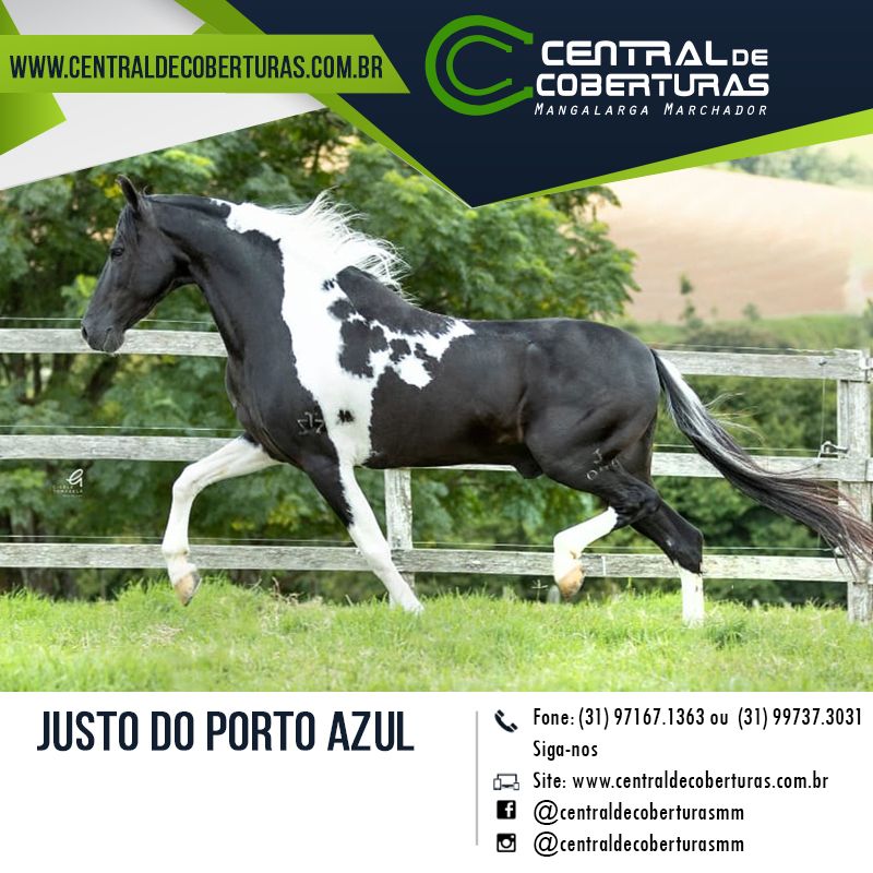 JUSTO DO PORTO AZUL JUSTO DO PORTO AZUL