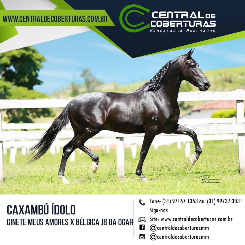 CAXAMBÚ ÍDOLO CAXAMBÚ ÍDOLO