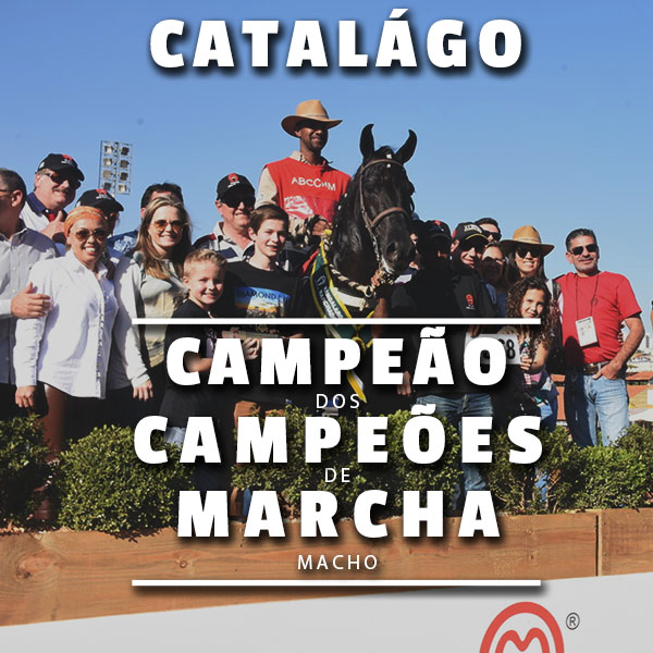 Campeão dos Campeões de Marcha