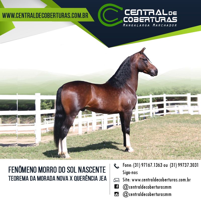 FENÔMENO MORRO DO SOL NASCENTE FENÔMENO MORRO DO SOL NASCENTE